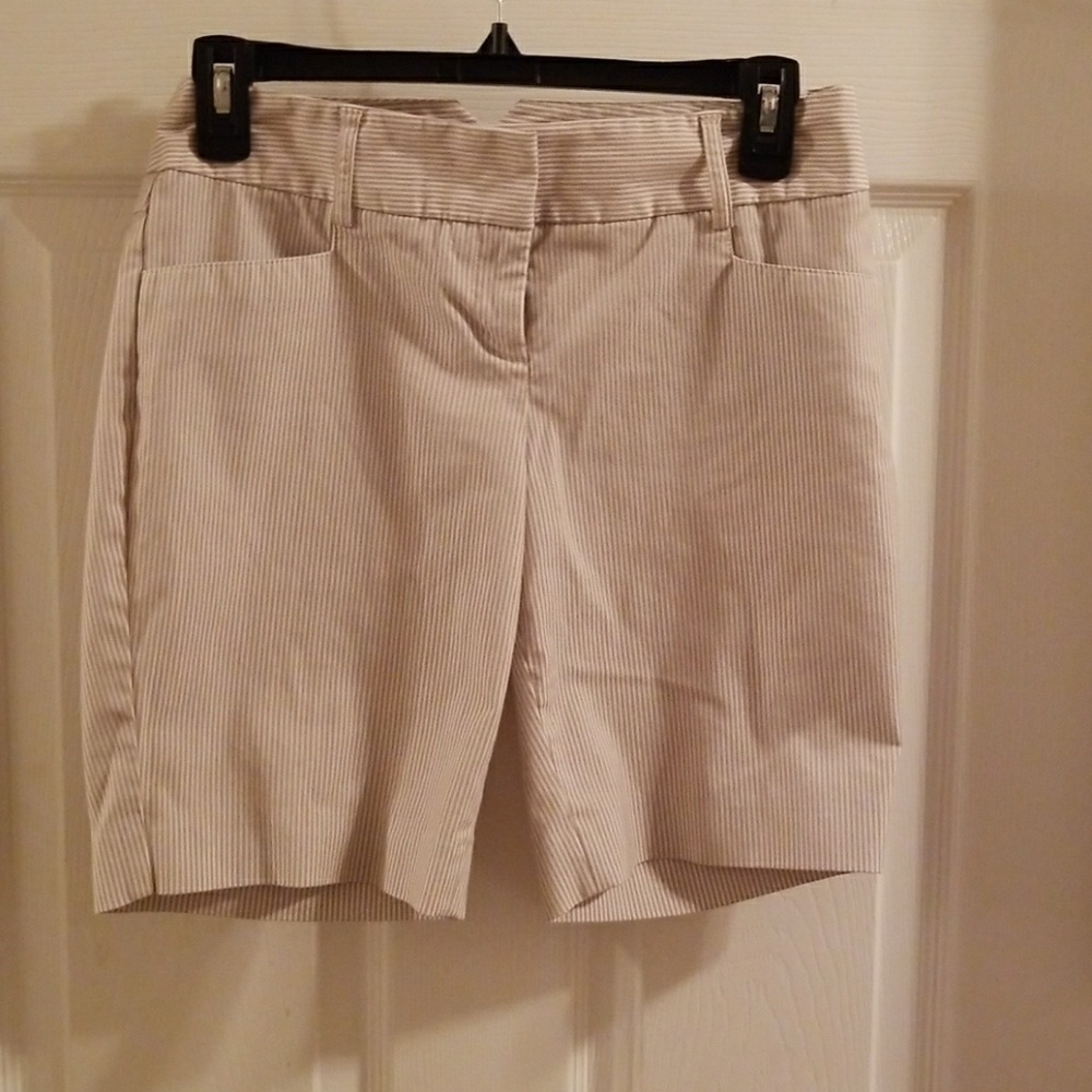 Express Bermuda Shorts